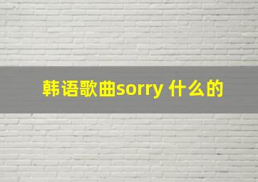 韩语歌曲sorry 什么的